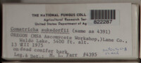 Image Associated With the Occurence